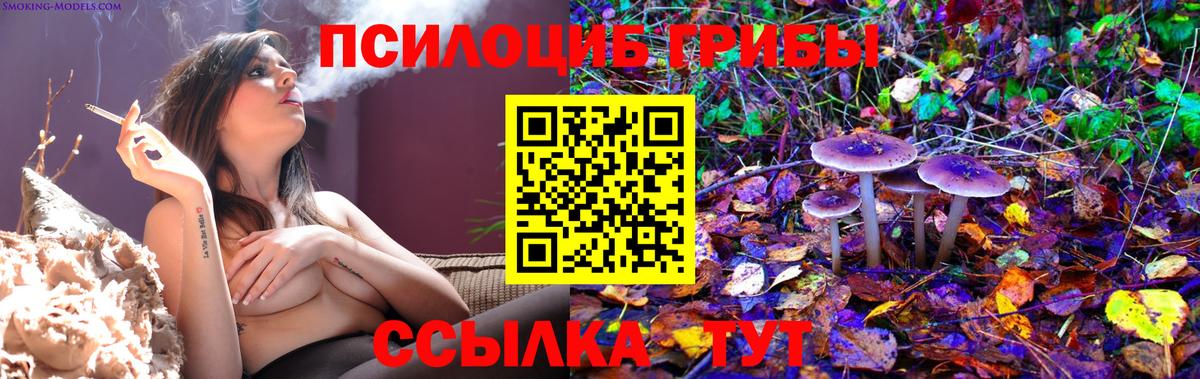 Галлюциногенные грибы мицелий Димитровград