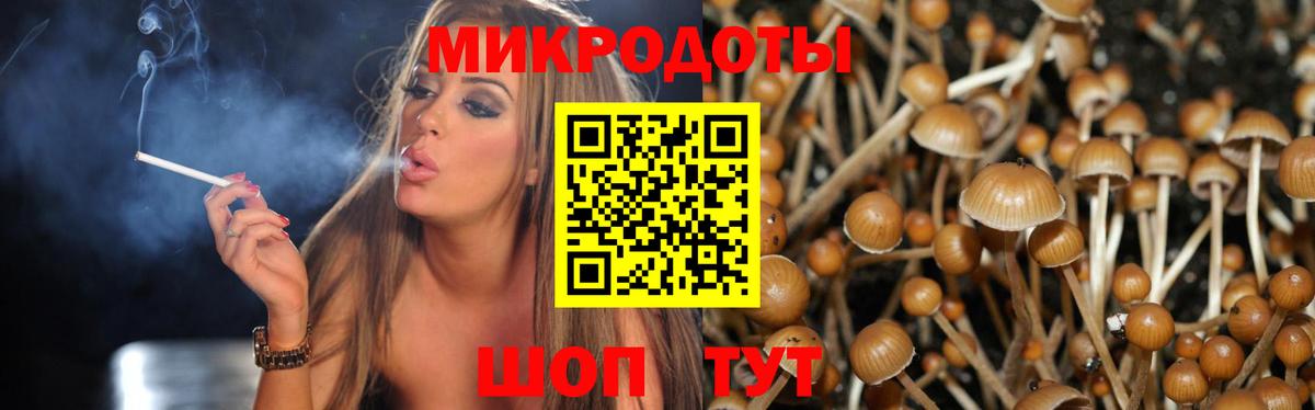Псилоцибиновые грибы Psilocybe  Вход с VPN  как найти закладки  Димитровград 