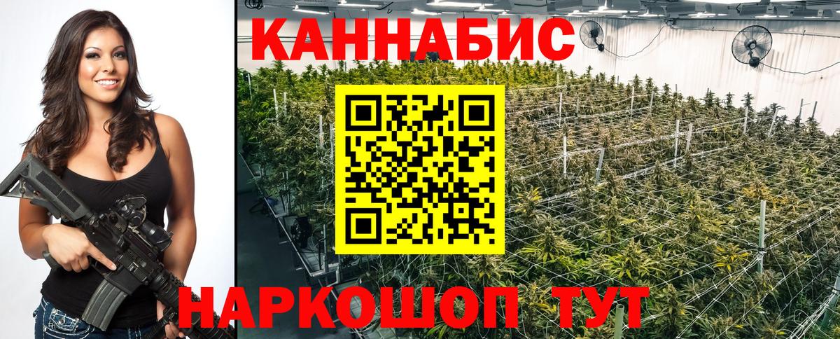Конопля LSD WEED  МАРИХУАНА сатива  Шишки марихуана THC 21%  Вход с VPN  Димитровград 